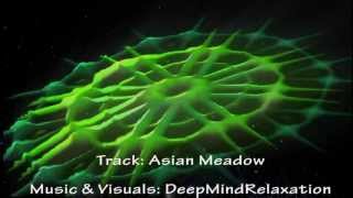 Spacey Vision  Harp Erhu  Asian Meadow  Meditation  Mandala [upl. by Anuahs810]