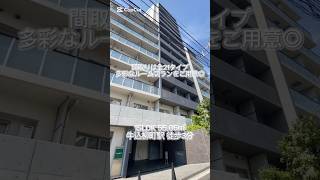 【牛込柳町駅 徒歩3分 1SLDK 5505㎡】詳しくはインスタpropertydesignで🔍 不動産 賃貸 お部屋探し 高級賃貸 賃貸 内見 牛込柳町 shorts [upl. by Kristie862]