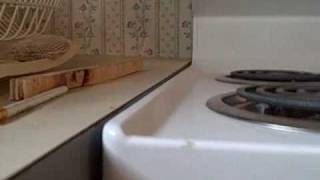 Mobile Home Bathroom floor repair [upl. by Ahseetal]