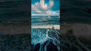 🌊 reverse waves sarbinowo 2024 październik reversed [upl. by Eseekram]