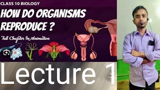 How Do Organisms Reproduce Chapter 3 In Simple Language By Satish Bhaiya [upl. by Hardwick]