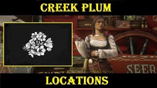 RDR2 CREEK PLUM Locations HERBALISTS COLLECTION Madam Nazar Weekly Collection RDO [upl. by Noral]