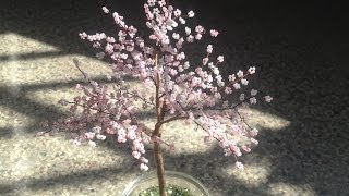 SAKURA Die japanische Kirschblüte TUTORIAL Bäume aus Perlen Annas Perlen [upl. by Ayekram]