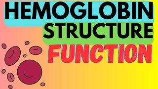 Hemoglobin  Structure  Function  R and T States [upl. by Airoled]