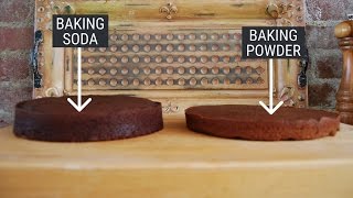 Heres the difference between baking powder and baking soda — and how to substitute one for another [upl. by Egerton359]