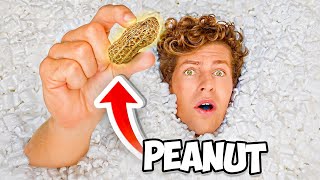 Find the REAL Peanut in 1000000 Packing Peanuts [upl. by Arihaz]