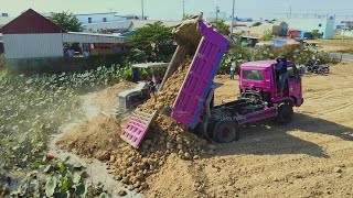 Completed 100 Dozer furukawa amp Truck 5ton Clearing the land will push the soil to fill the pond [upl. by Westberg]