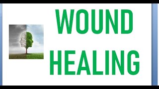 Surgery 012 Wound Healing steps phase process inflammatory proliferative remodeling injury stage [upl. by Starinsky]