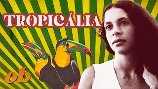 Beginners Guide to Tropicália  Off Beat [upl. by Celisse]