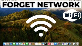 How to Forget a WiFi Network on Mac [upl. by Voorhis605]