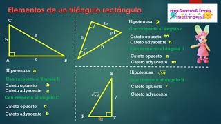 FUNCIONES TRIGONOMÉTRICAS [upl. by Arvin]