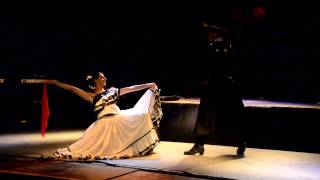 ZAMBA  BALLET EL CHUCARO  MAMASALSA [upl. by Dynah]