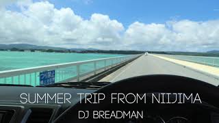 【日本語ラップMIX】〜 SummerTrip from NIIJIMA〜 mixed by DJ BREADMAN【Chill Out Japanese HIPHOP mix】 [upl. by Kcirevam]