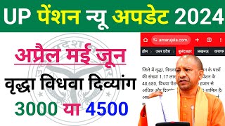 UP Pension New Update 2024 April MayJune Ki Pension Kab AaegiUP Pension Kab Aaegi 2024 [upl. by Onnem]