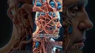 Unlocking the Power of Smell Olfactory Receptors Revealed facts shorts science [upl. by Anelrahc]