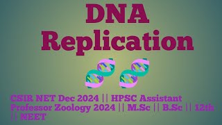 DNA Replication part 3  Prokaryotic Replication  Ecoli DNA Replication  DNA synthesis [upl. by Ecinhoj]