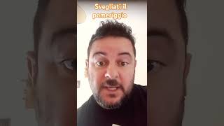 Svegliati il Pomeriggio frasedelgiorno battute perte humor risate barzelletta cabaret [upl. by Haya685]