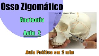 Osso Zigomático  Aula 2 Prática  Anatomia  Anatomia Humana [upl. by Tierza]