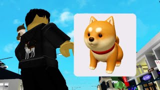 Roblox Brookhaven 🏡RP PETS UPDATED All New Pets [upl. by Merwin918]