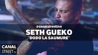 Seth Gueko en live  Dodo La Saumure [upl. by Holcomb212]