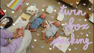 Custom Twin Reborn Babies Box Packing  Kelli Maple [upl. by Norihs399]