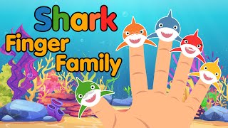 Baby Shark Finger Where Are You  Kids Songs amp Nursery Rhymes  Shark Finger Family  Mini Camp [upl. by Rossuck261]