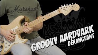 Groovy Aardvark  Dérangeant  Solo de guitare avec partition [upl. by Jeroma]