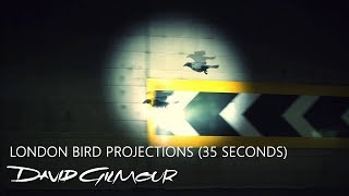 David Gilmour  London Bird Projections 35 Seconds [upl. by Crudden]