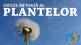 CICLUL DE VIATA AL PLANTELOR  Episodul 1  STIINTELE NATURII  BIOLOGIE  SCOALA ONLINE [upl. by Nickles]