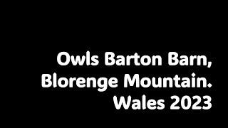 Owls Barton Barn Blorenge Mountain Wales 2023 [upl. by Naerda]