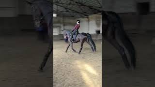 Gulyakova Daria amp Fantasmagoria dressage dressagerider childrendressage выездка equestrian [upl. by Genia]