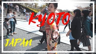 Kyoto  Cherry Blossom  Osaka  Nara  BEAUTIFUL Japan Travel Vlog Trailer [upl. by Idnic665]