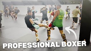 Professional Boxer Tries Muay ThaiMMA Sparring [upl. by Dominik37]