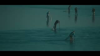 Oregon Coast Clamming 2024 [upl. by Ardnikat153]