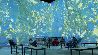 Van Gogh immersive experienceLondon [upl. by Akialam]