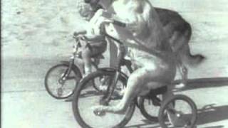 Fietsende honden 1936 [upl. by Just]