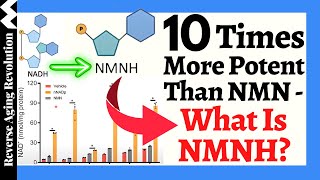 10 TIMES MORE POTENT Than NMN  What Is NMNH [upl. by Sachi112]