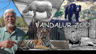 Visiting VANDALUR ZOO after Ages 🦁🐯🦒🦓 [upl. by Duntson]