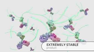 ThunderLink® conjugation kits for oligonucleotides and ImmunoPCR [upl. by Idnym879]