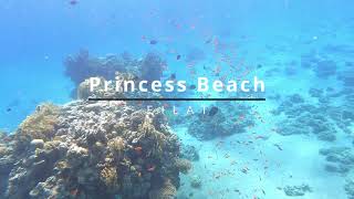 Princess Beach snorkeling underwaterlife travel [upl. by Gusella]