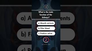 Anatomy Quiz Part 34 anatomyquiz anatomy anatomyquestions [upl. by Blanchette663]