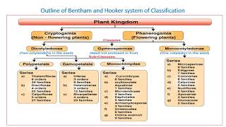 Bentham and Hooker System of classification [upl. by Heidy]