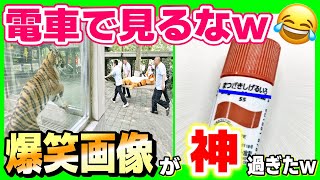 【笑ったら寝ろ】おもしろ画像傑作集w爆笑な建築ミス＆設計ミスもまとめたよー！ [upl. by Ronnoc]