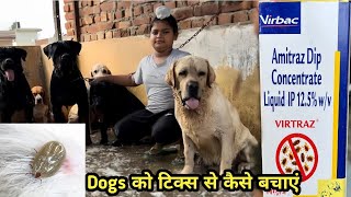 Best way to Remove Ticks from Dogs  Amitraz Dip  Dogs Bath  Ticksyoutube dogs pets doglife [upl. by Si430]