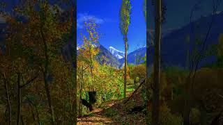 Golden peak views from nagar khas nature [upl. by Adar52]