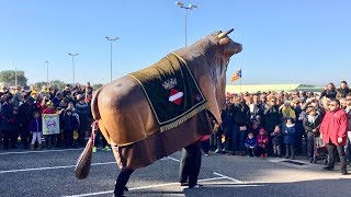 El Bou Tradicional La Mulassa de Valls i els Gegants de la Riba [upl. by Mayrim842]