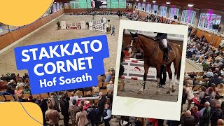 Springhengst STAKKATO CORNET  Hof Sosath Stakkato Gold x Cornet Obolensky x Arezzo [upl. by Polloch322]