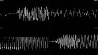 SAM Coupé DNA Dream 156 kHz  stereo oscilloscope view 4K [upl. by Cerelia]