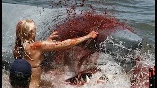 SHARK ATTACKS caught on camera Australias Deadliest White Shark Coast 2016 [upl. by Iror]