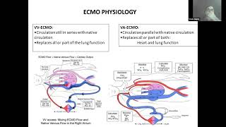 01 Ventilation strategy during ECMO by Dr Vivek Gupta ECMO INDIA OCT 2024  Day 02 [upl. by Yrtnahc381]